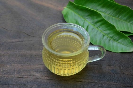 "Brewing good health: Guava leaf tea"