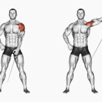 Cable Shoulder Workout: The Ultimate Guide to Sculpt Strong, Defined Shoulde