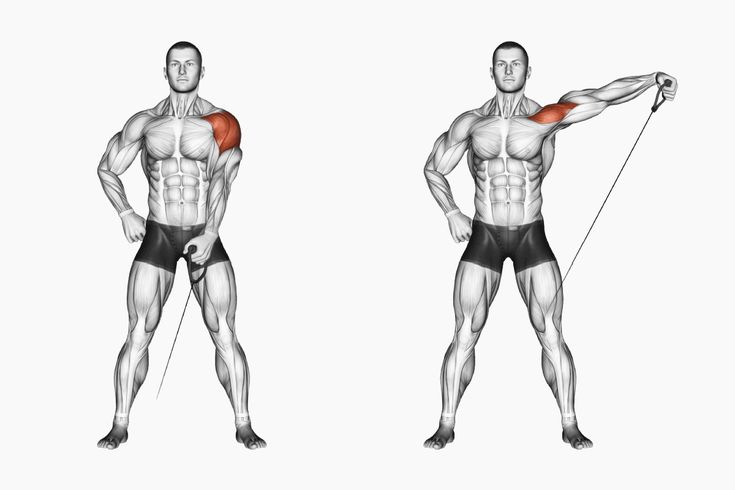 Cable Shoulder Workout: The Ultimate Guide to Sculpt Strong, Defined Shoulde