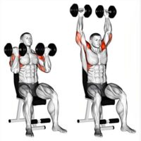 Shoulder Dumbbells Workout Top 5 Exercises