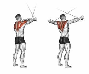 "Cable reverse fly exercise for posterior deltoids"