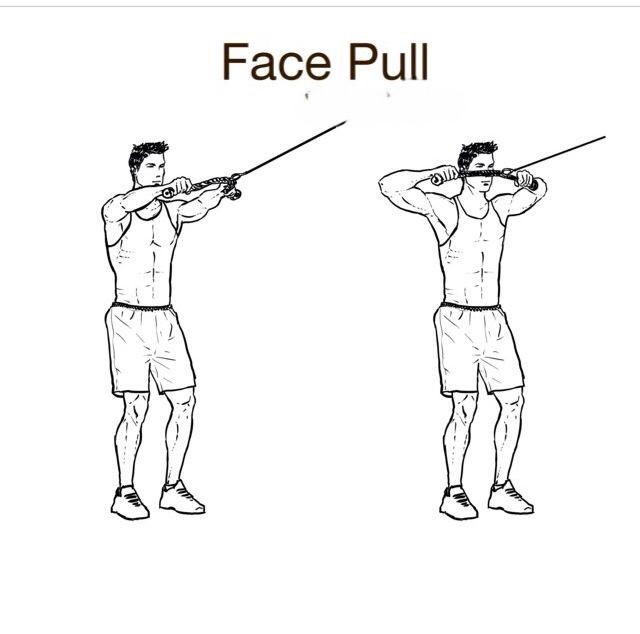 "Cable Face pull exercise for muscle strength"