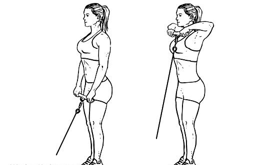 "Proper form for cable Upright workout"