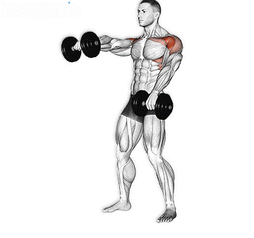 Front Raises with Dumbbells