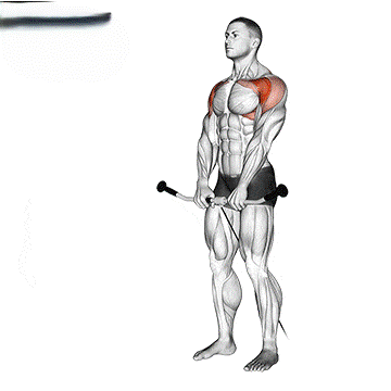 "Proper form for cable front raise in shoulder workout"