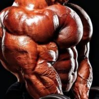 what is muscle hypertrophy