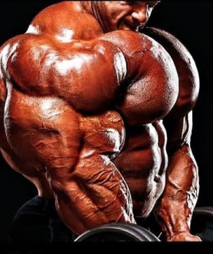 what is muscle hypertrophy